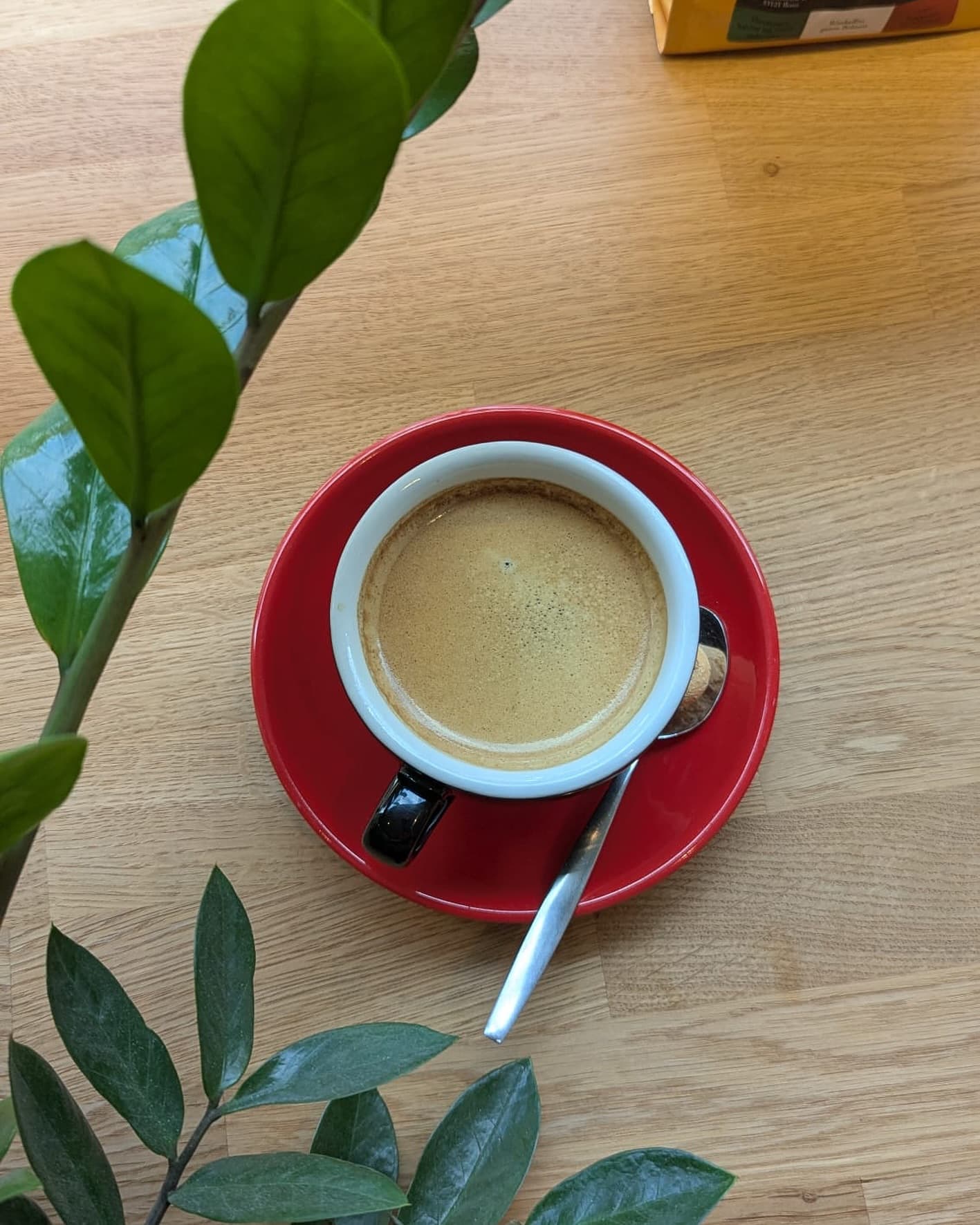 Espresso mit frischen Pflanzen bei LaRoc